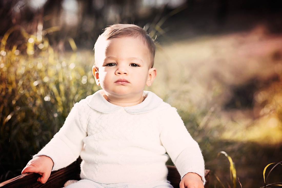 JOSE-SESION-426