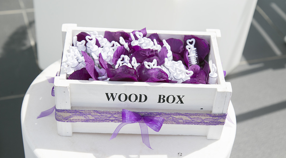 ESTEFANIA Y VICTOR 1 579 copia