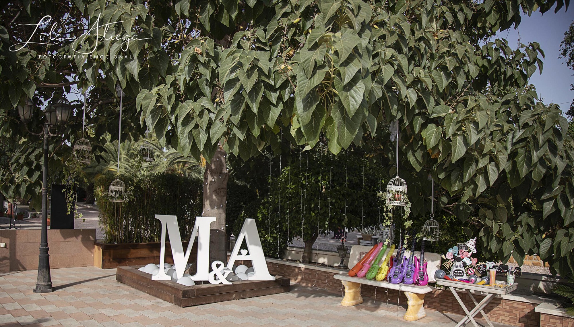 BODA ALFREDO 2 049 copia